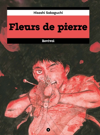 Image de Fleurs de pierre T02