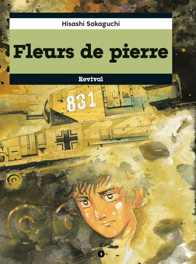 Picture of Fleurs de pierre, tome 3