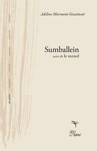 Picture of SUMBALLEIN suivi de le tunnel