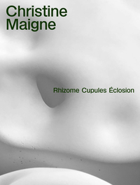 Picture of Rhizome Cupules Éclosion