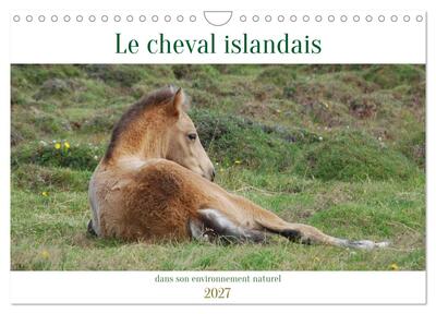 Image de Le cheval islandais dans son environnement naturel (Calendrier mural 2027 DIN A4 vertical), CALVENDO calendrier mensuel