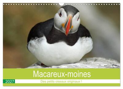 Image de Macareux-moines Des petits oiseaux originaux! (Calendrier mural 2027 DIN A3 vertical), CALVENDO calendrier mensuel