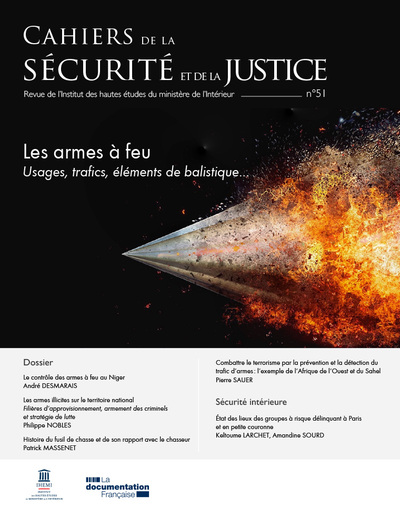 Image de Les armes à feu