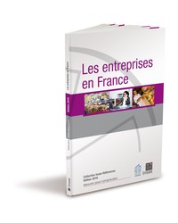 Image de LES ENTREPRISES EN FRANCE 2016