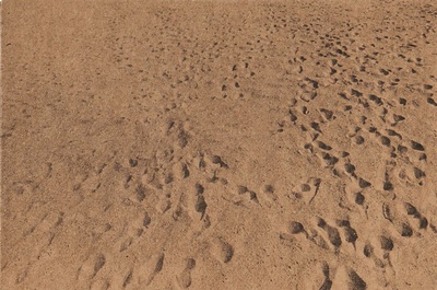 Picture of Beach Pictures, 1969-70 Anthony Hernandez /anglais
