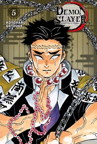 Picture of Demon Slayer - Edition Pilier T05