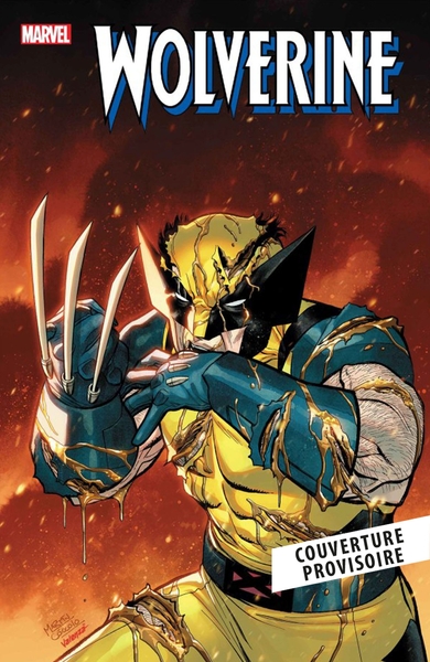 Picture of X-Men N°17