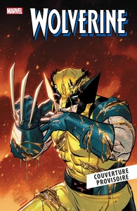 Picture of X-Men N°17