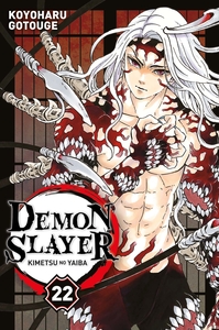 Image de Demon Slayer T22