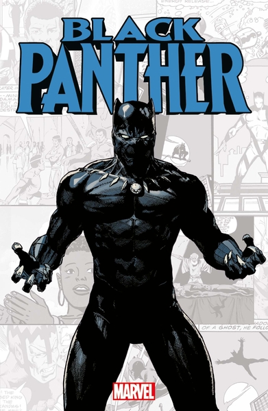 Image de Marvel-Verse : Black Panther