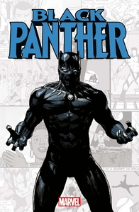 Image de Marvel-Verse : Black Panther