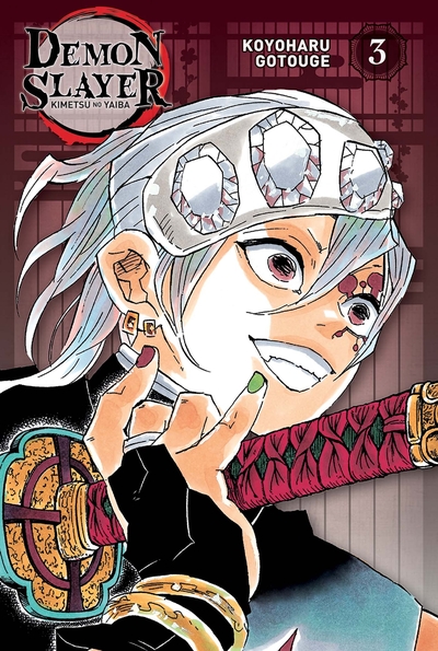 Picture of Demon Slayer - Edition Pilier T03