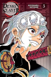 Picture of Demon Slayer - Edition Pilier T03