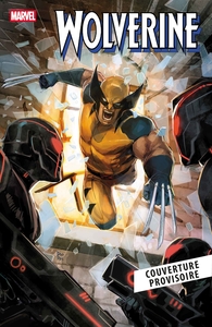 Picture of X-Men N°22