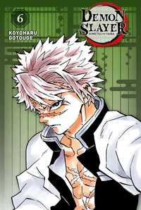 Picture of Demon Slayer - Edition Pilier T06