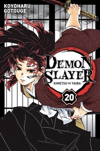 Image de Demon Slayer T20