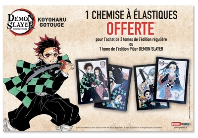 Image de Colis 60 exemplaires - OP Demon Slayer Pochette