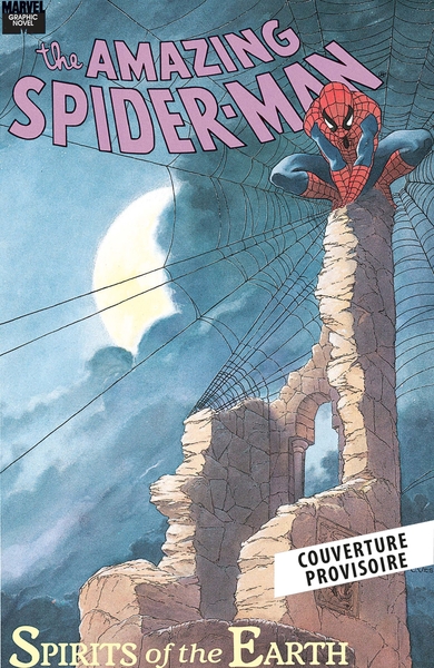 Picture of Spider-Man Graphic Novels