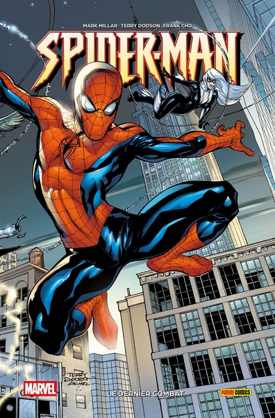 Image de Spider-Man : Le dernier combat