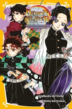 Image de Demon Slayer - Roman jeunesse T06