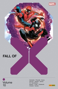 Image de Fall of X T10