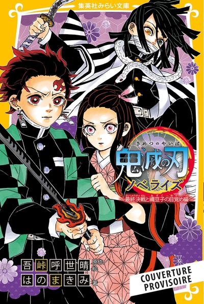 Image de Demon Slayer - Roman jeunesse N°09