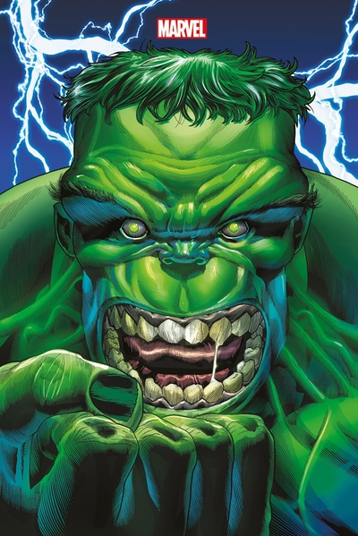 Picture of Immortal Hulk T01 (Variant Panini)