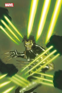 Picture of Wolverine par Jason Aaron NED (Variant Panini)