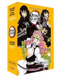 Image de Coffret Demon Slayer T12 + Roman jeunesse T05