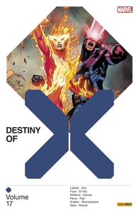 Picture of Destiny of X T17