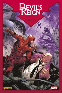 Image de Devil's Reign T03
