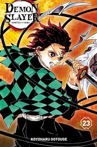 Picture of Demon Slayer T23 Edition Collector