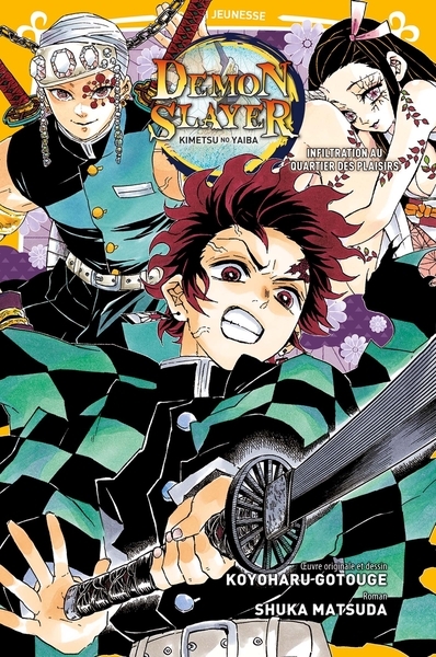 Picture of Demon Slayer - Roman jeunesse T04