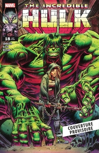 Picture of Incredible Hulk T04