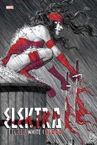 Image de Elektra : Black White & Blood