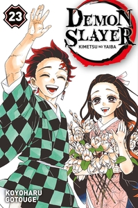 Image de Demon Slayer T23