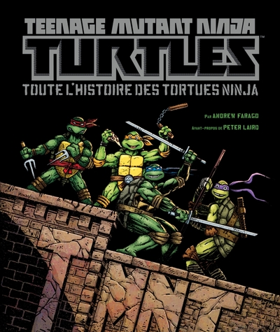 Image de Teenage Mutant Ninja Turtles : Toute l'histoire des Tortues ninja