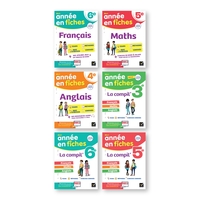 Image de Colis Mon Année en Fiches 28ex +2gratuits