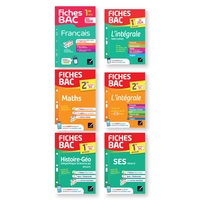 Image de Colis Fiches Bac 30 ex