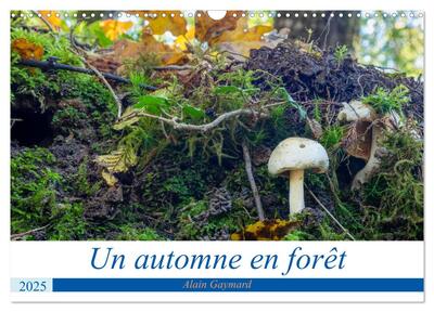 Picture of Un automne en forêt (Calendrier mural 2025 DIN A3 vertical), CALVENDO calendrier mensuel