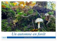 Picture of Un automne en forêt (Calendrier mural 2025 DIN A3 vertical), CALVENDO calendrier mensuel