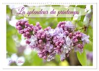 Image de La splendeur du printemps (Calendrier mural 2025 DIN A3 vertical), CALVENDO calendrier mensuel