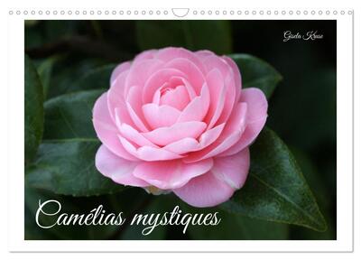 Image de Camélias mystiques (Calendrier mural 2025 DIN A3 vertical), CALVENDO calendrier mensuel