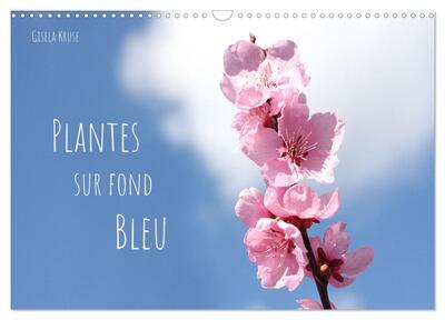 Image de Plantes sur fond bleu (Calendrier mural 2025 DIN A3 vertical), CALVENDO calendrier mensuel
