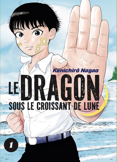 Picture of LE DRAGON SOUS LE CROISSANT DE LUNE VOL.1