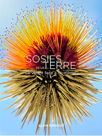 Image de Sosies de la terre