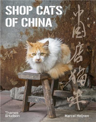 Image de Shop Cats of China /anglais
