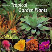 Image de Tropical Garden Plants (Paperback) /anglais