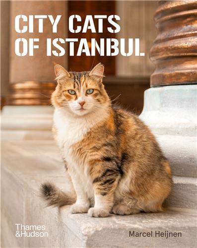Image de City Cats of Istanbul /anglais