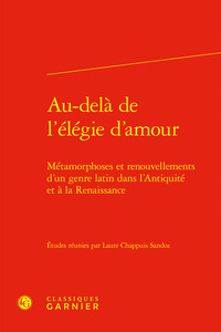 Image de Au-delà de l'élégie d'amour